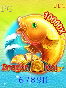 Descubra o Universo Fascinante de DragonKoi